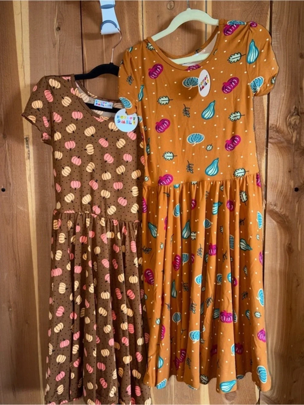 NWT Set of 2 Fall-themed girls dresses Cap style DotDotSmile